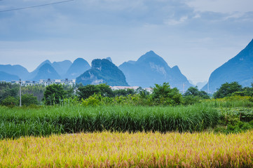 北京大兴疫情（北京大兴 疫情）